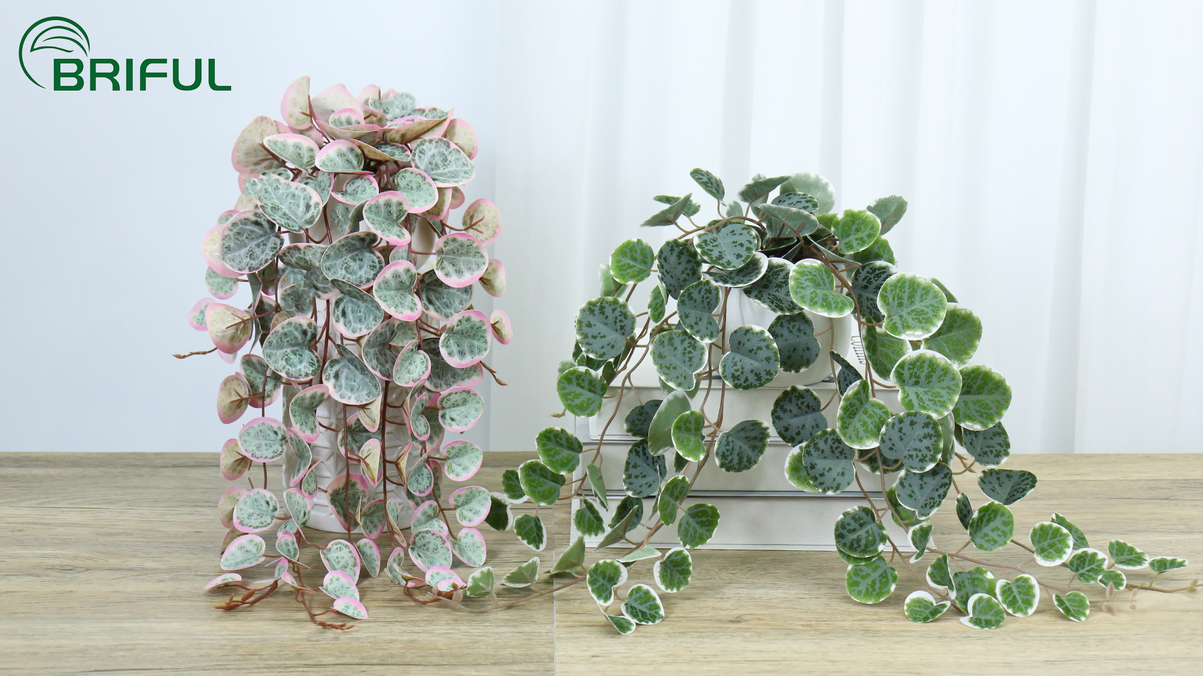 Amazon.com: Briful Fake Plants Indoor 16'' Artificial String of